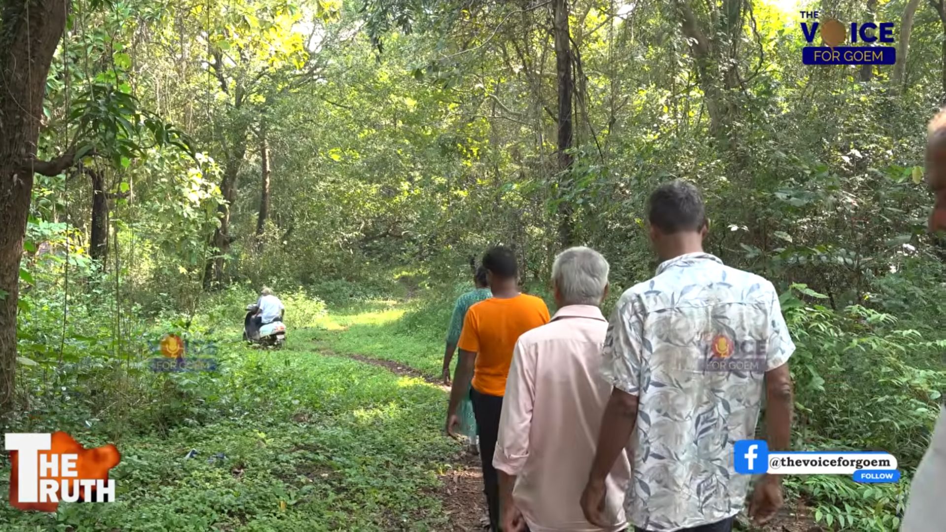 From a path in Chorao to the floor of the Assembly