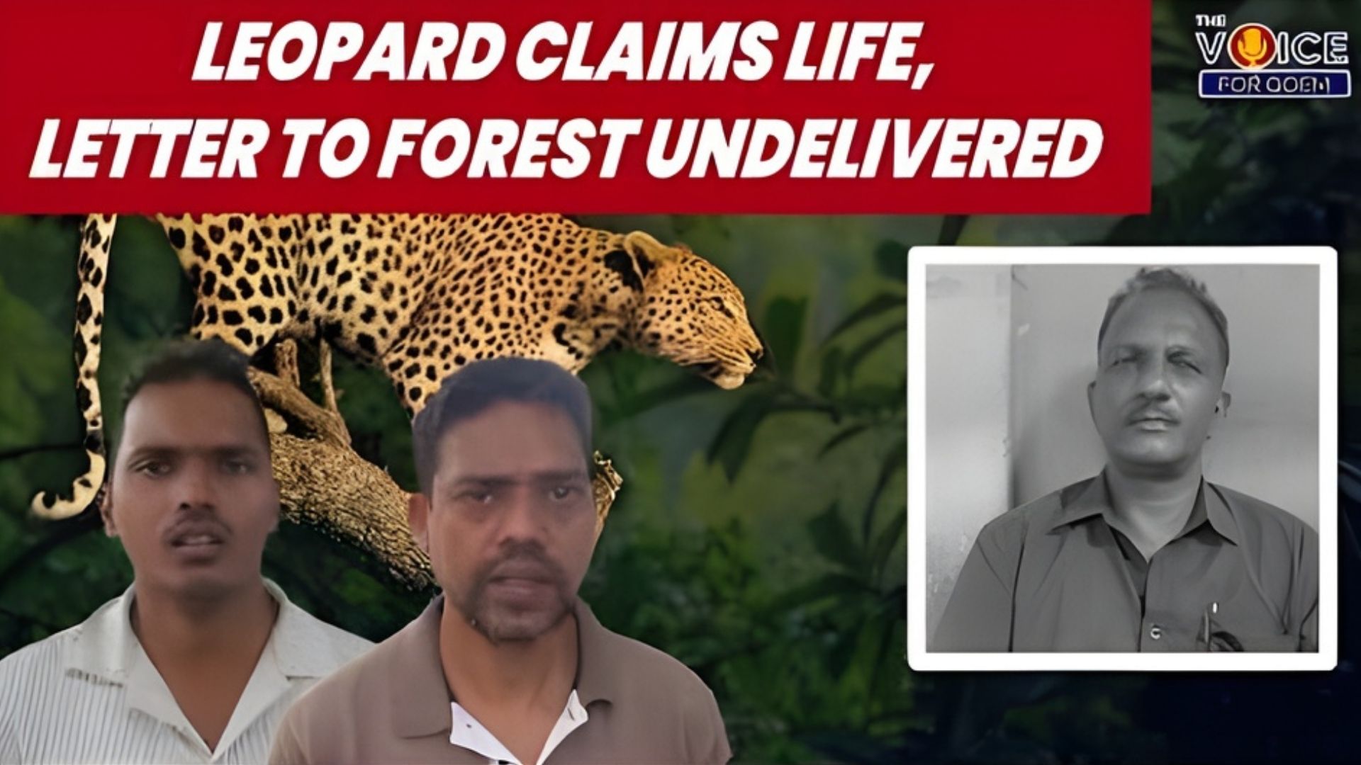 Leopard claims life, Forest Dept clueless