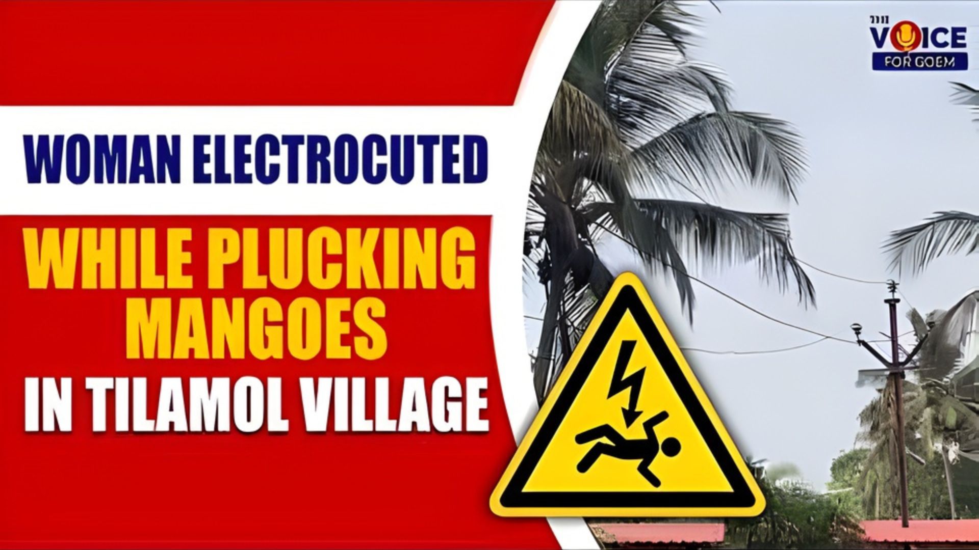 Woman electrocuted while plucking mangoes in Tilamol, locals raise safety concerns