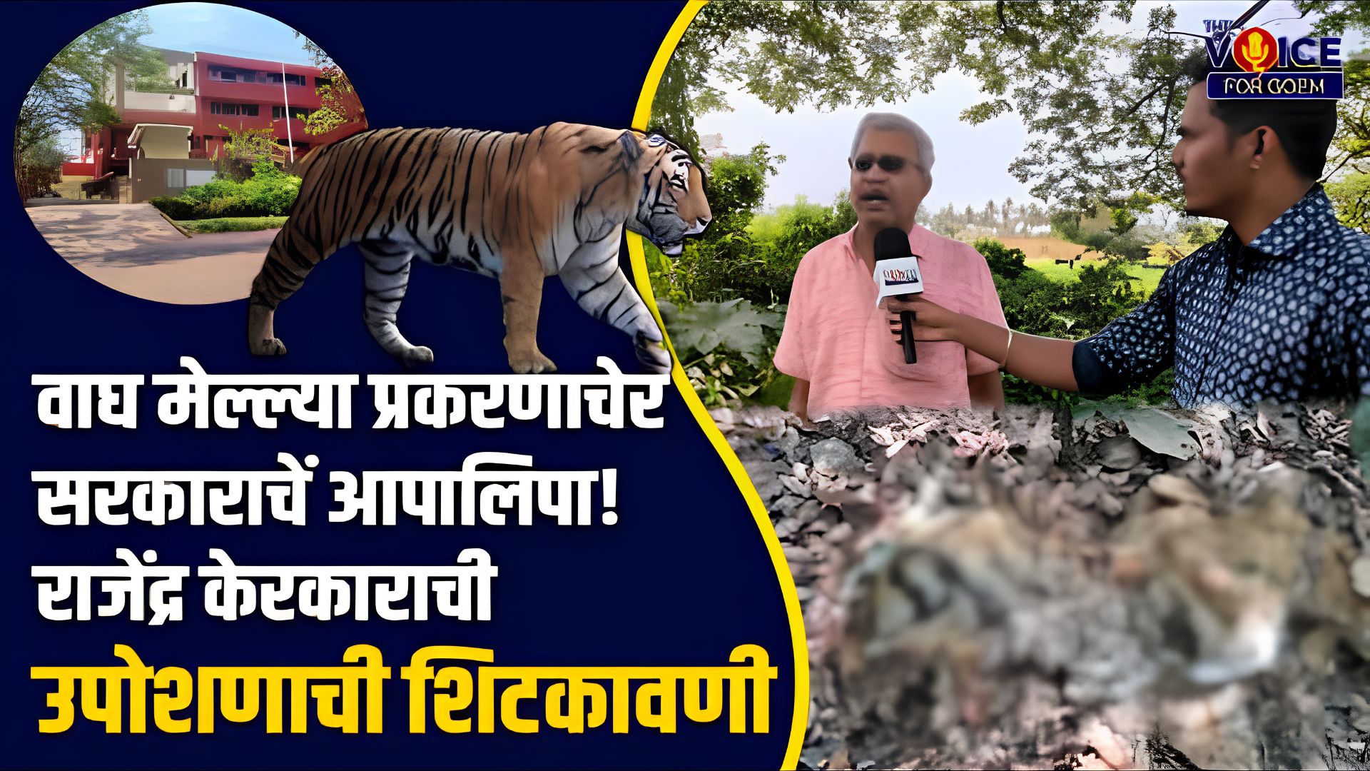 Special Interview | वाघ मेल्ल्या प्रकरणाचेर सरकाराचें आपालिपा! राजेंद्र केरकाराची उपोशणाची शिटकावणी