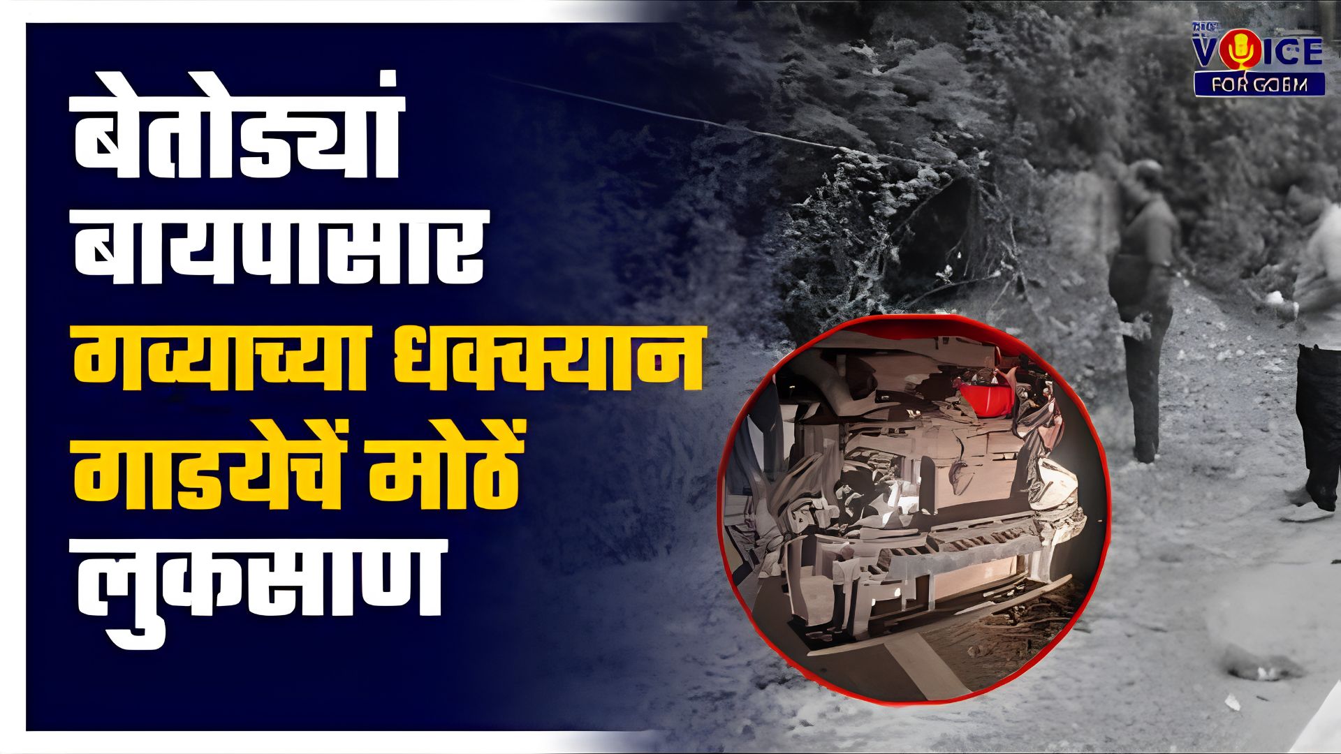 Wild gaur jumps onto car on Betoda bypass; occupants safe